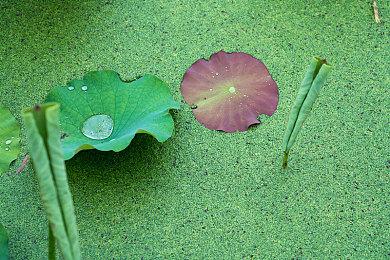 索尼PS主机三十周年PS5主机公开 11月21日发售